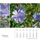 "Oktober: Kalenderblatt mit lilafarbenen Blüten und grünem Hintergrund."