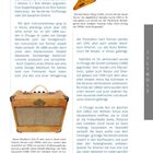 Artikel über Gitarrenbau in Illinois mit Bildern einer Gibson Flying V und einem Washburn Verstärker. "ILLINOIS" seitlich.