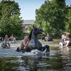 Menschen reiten auf Pferden durch einen breiten Fluss. Im Hintergrund sind Bäume und Zuschauer zu sehen.