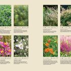 Text zu Pflanzenarten mit Detailbeschreibungen und Eigenschaften wie Höhe, Blütezeit, Standort und Pflegehinweise.