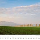 Kalender für Oktober. Herbstliche Pappelallee, grünes Feld, sanfte Hügel und leichter Nebel unter blauem Himmel.