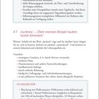 Text beschreibt Strategien zur Energieerneuerung, Juckreiz-Ursachen und Hilfe durch Pfefferminztee. Unterschiedliche Abschnitte.