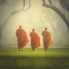 Drei Mönche in orangefarbenen Roben gehen durch nebligen Wald auf grünem Gras.