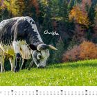 Text: "Christa", "Oktober". Eine schwarz-weiße Kuh weidet auf einer grünen Wiese vor herbstlichem Waldhintergrund.