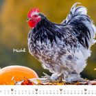 Text: "Michel", "OKTOBER". Ein prächtiger Hahn steht auf Herbstlaub und Kürbissen, goldener Hintergrund. Unten Kalenderdaten.