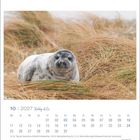 Kalenderblatt Oktober 2027. Robbe liegt im Gras. Wochenübersicht, Feiertage: 3.10., 26.10., 31.10.