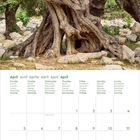 Kalender für April, mehrsprachige Wochentage, alte verdrehte Bäume mit dicker, knorriger Rinde im Hintergrund.