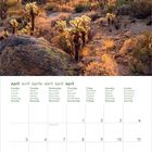 Kalenderseite April 2027: Tage und Wochentage in acht Sprachen. Foto: Wüstenlandschaft bei Sonnenaufgang mit Kakteen.