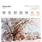 Dezember KW 51. Montag 20 bis Sonntag 26. Bild: Ein frostiger Baum mit roten Blättern auf winterlicher Landschaft.