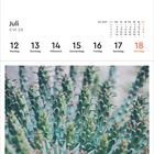 Juli KW 28, Kalenderwoche 12-18, Montag bis Sonntag hervorgehoben. Unten: Nahaufnahme von grünen Kaktusstacheln.