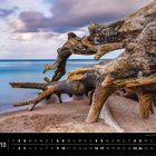Dänemark 10. Küste am Gendarmstien in Südjütland. Treibholz liegt an einem sandigen Strand, Meer im Hintergrund.