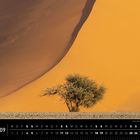 Namibia 09, Monatskalender mit Kamelbaum in der Wüste vor orangefarbener Düne.