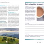 Texte: "Sich in den Berghütten einkuscheln", "Cwtch zu Hause leben", Reflexionsfrage über Geborgenheit. Links, ein Bild von grünen Hügeln und einem Schaf, rechts, ein Teller mit Kuchen und Tasse Tee.