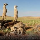 Kalenderübersicht für Oktober mit Erdmännchen in einer trockenen, grasbewachsenen Landschaft.