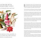 Glühende Düfte und rauchige Noten. Ein Kelch, exotische Blumen, ein Vogel, rote Blüte und Schmetterling bilden eine Illustration.