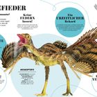 DAS GEFIEDER: Infos über gefiederte Dinosaurier, beeindruckende Federn, Farben und der Archaeopteryx mit besonderen Merkmalen.