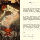 Text: Dschinn, Die Feuergeister. Positiv: Anpassungsfähigkeit. Negativ: Hindernis, Rache. Nummer 27. 

Illustration: Ein Dschinn schwebt mit einem leuchtenden Körper über einer Schale in einer mystischen Landschaft.