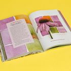 Text links: "ECHINACEA" mit Beschreibung. Rechts: Aquarell einer Echinacea-Blume. Hintergrund gelb.
