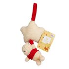 Etikett mit "Disney baby". Ein Plüschstern mit rotem Band, daran ein kleiner Teddybär in rotem Pullover hängend.