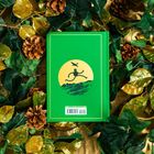 Preis 34.99 US / 53.99 CAN. Illustration: rennende Figur auf grünem Buch, umgeben von Blättern und Tannenzapfen.