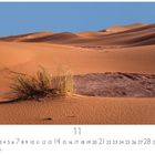 Zahlen von 1-30 unten, das Datum "11" hervorgehoben, darunter "CASARES EDITION". Sanddünen mit Grasbüschel.