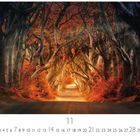 "The Dark Hedges" und "11". Bäume bilden einen gewundenen Tunnel über einer Straße, umgeben von herbstlichen Farben.