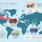 Weltkarte mit Informationen über geheimnisvolle Tiere: Kanada-Luchs, Schneeleopard, Okapi, Schwarzer Räuberfisch, Plattbauch, Pangolin.