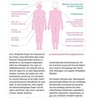 Überschrift: Fibromyalgie hat viele Gesichter. Aufzählung:

Links: "Chronische Schmerzen"

Rechts: "Müdigkeit, körperliche oder geistige Erschöpfung (fatigue)"

Illustrierte Figur zeigt Symptome wie Konzentrationsstörungen und Schlafstörungen.