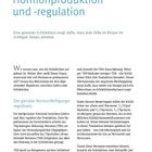 Hormonproduktion und -regulation: Eine gesunde Schilddrüse sorgt dafür, dass jede Zelle im Körper im richtigen Tempo arbeitet.