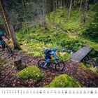 11, Kalender mit einem Waldpfad, zwei Radfahrer auf Mountainbikes, mit Helmen im dichten, grünen Wald.