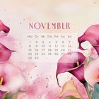 "Novemberkalender mit rosa Calla-Lilien, zartem Aquarellhintergrund und spritzenden Farbklecksen."