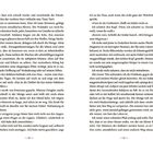 Seite 30 und 31. Eine erzählende Szene beschreibt eine angespannte Marktsituation mit Soldaten und einer Frau, die beschuldigt wird.