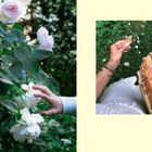 Text: "Fühlen". Links: Hand berührt weiße Rosen. Rechts: Hand hält Baguette und Brotkrümel über grünem Hintergrund.