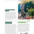 "ZIERGARTEN" und "RESTLICHES HERBSTLAUB SAMMELN" stehen groß geschrieben. Ein Mann harkt Laub in einem Garten.