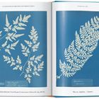 Text oben: Cyanotypes of British and Foreign Ferns. Links und rechts: Illustrationen von Farnen auf blauem Hintergrund.