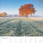 Kalenderblatt für November, Blick auf einen Herbstbaum mit rotem Laub auf einem frostigen Feld unter blauem Himmel.