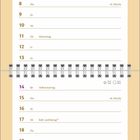 Text: "Whiskas", "Nov", "Allerheiligen", "Volkstrauertag". Zwei niedliche Kätzchen auf einem Holztisch.