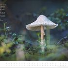 Gedicht über den Wald von Karl Ernst Knodt links, rechts ein Pilz in einem moosigen, waldigen Umfeld. Unten Kalender.