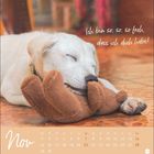 "Ich bin so, so, so froh, dass ich dich habe!" Ein schlafender Hund kuschelt mit einem Plüschtier. Unten ein Kalender für November.