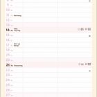 Kalender für November mit Feiertagen. Unten Illustration von drei Katzen mit Pizzastücken, daneben Text "PIZZA purrrty".