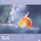 "Nov" in Weiß auf lila. Eine Schnecke auf einem leuchtenden Pilz im weichen Licht. Unten ein Monatskalender.