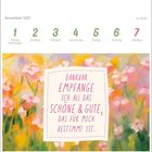Kalenderblatt: November 2027. 

Spruch: "Dankbar empfange ich all das Schöne & Gute, das für mich bestimmt ist." 

Farbige Blumenillustration.