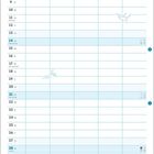 "Der heimkehrende Nachtschwärmer", "Der Gruß an den Mond", November. Illustration von Katzen bei Häusern.