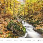 "November" unten rechts, Kalender mit November-Daten. Herbstwald mit fließendem Bach und buntem Laub.