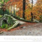 Der Text "november" erscheint im unteren Bereich. Die Szene zeigt eine moosbedeckte Steinbrücke in einem herbstlichen Wald.