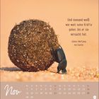 Zitat von Goethe über Kräfte, ein Käfer rollt einen großen Erdball vor sich her, Kalenderansicht für November darunter.