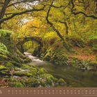 Kalenderbild des Monats November, zeigt einen Bach unter einer alten Steinbrücke in einem herbstlichen Wald.