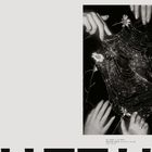 WE MAKE A FLOWER. Four hands hold a spider web intertwined with daisies, glistening with dew.