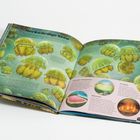 Text: "Merkwürdige Seen, Quallensee, Flüssiges Kaugummi, Lavasee, Säuresee." Illustrationen von Quallen in grünem Wasser.