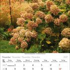 Kalenderblatt für November 2027 mit hervorgehobenen Feiertagen. Im Hintergrund herbstliche Hortensien und Bäume.
